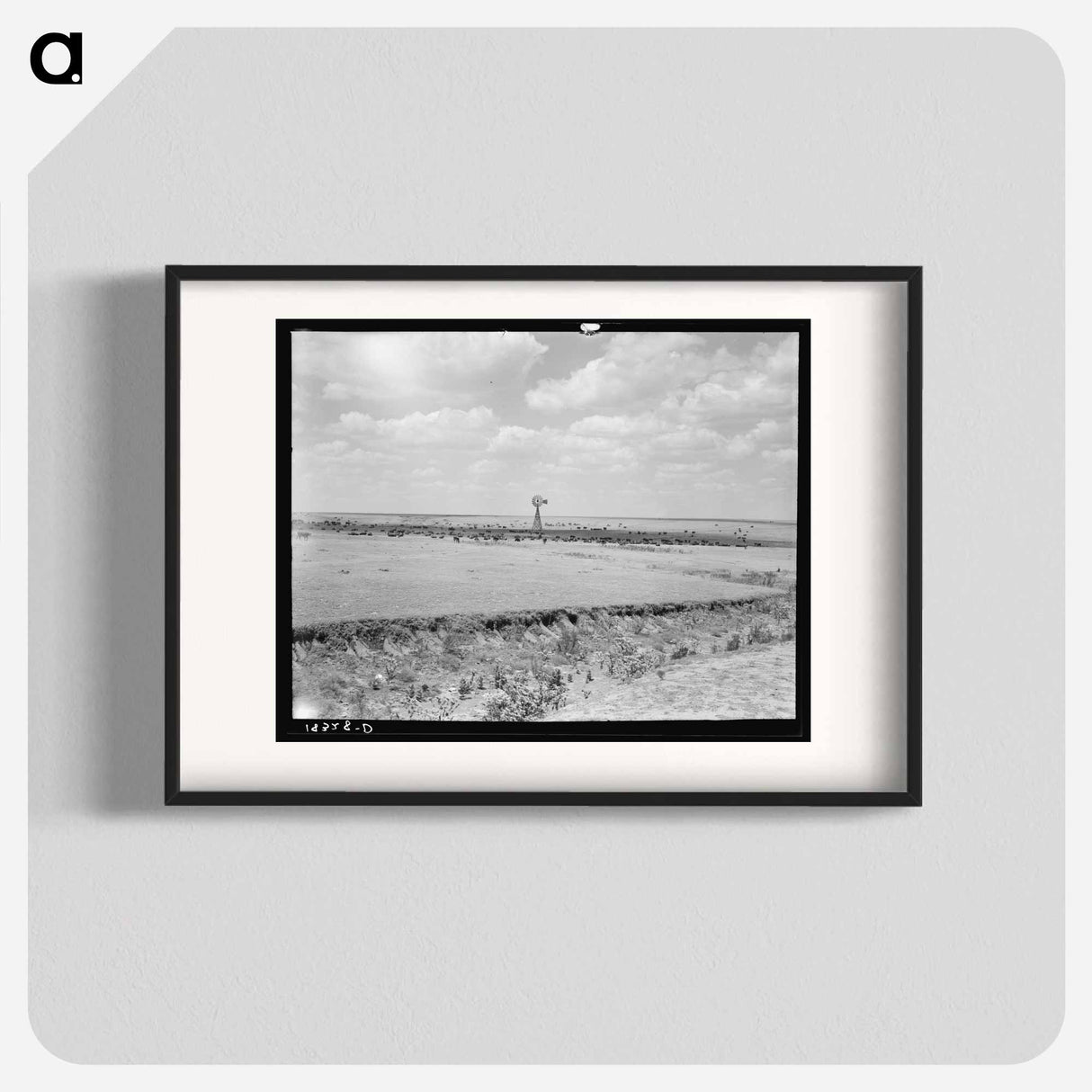 Untitled photo - Dorothea Lange Poster.