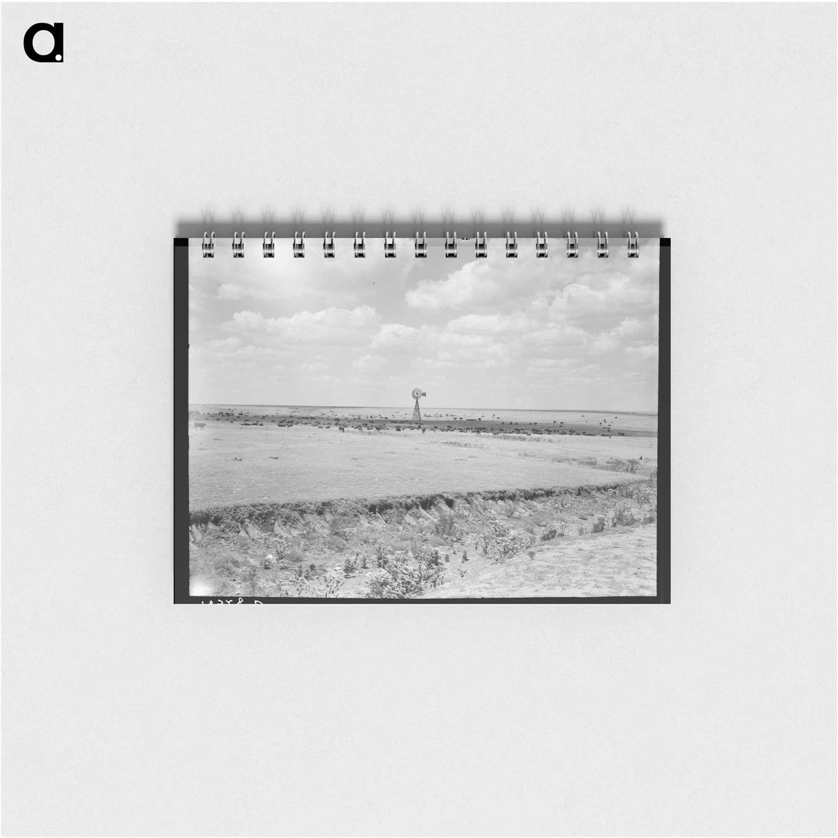Untitled photo - ドロテア ラング Memo.