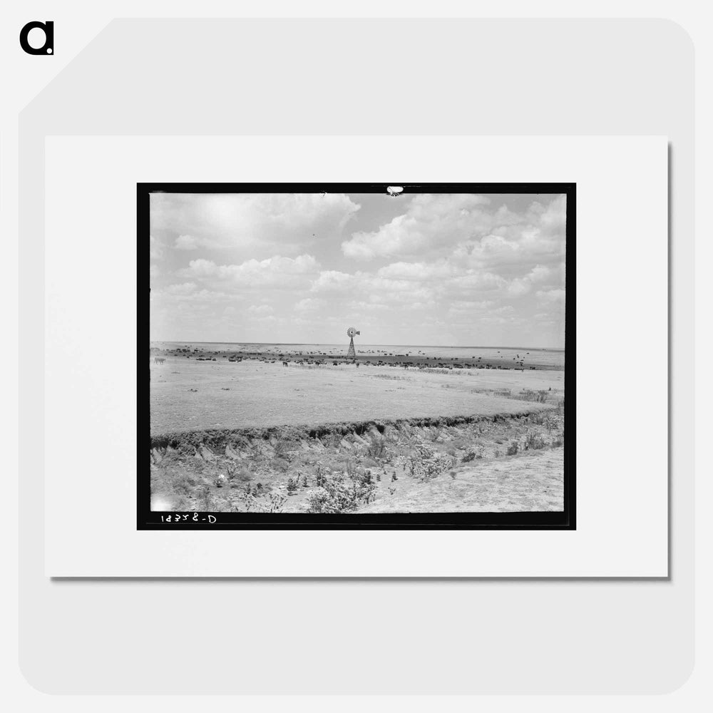 Untitled photo - Dorothea Lange Poster.