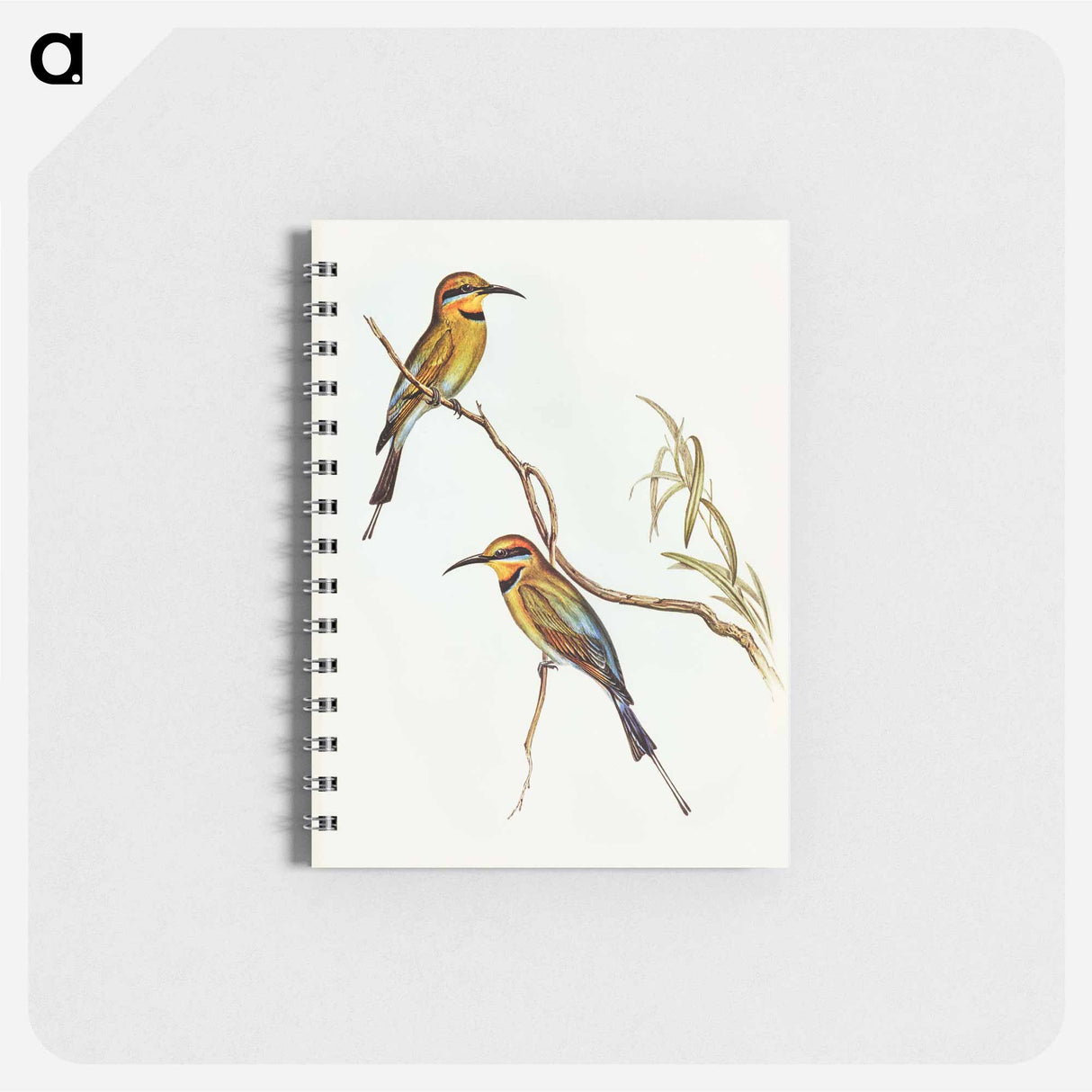 アートメモ帳-Australian Bee-eater
- オーストラリアの鳥 Memo.