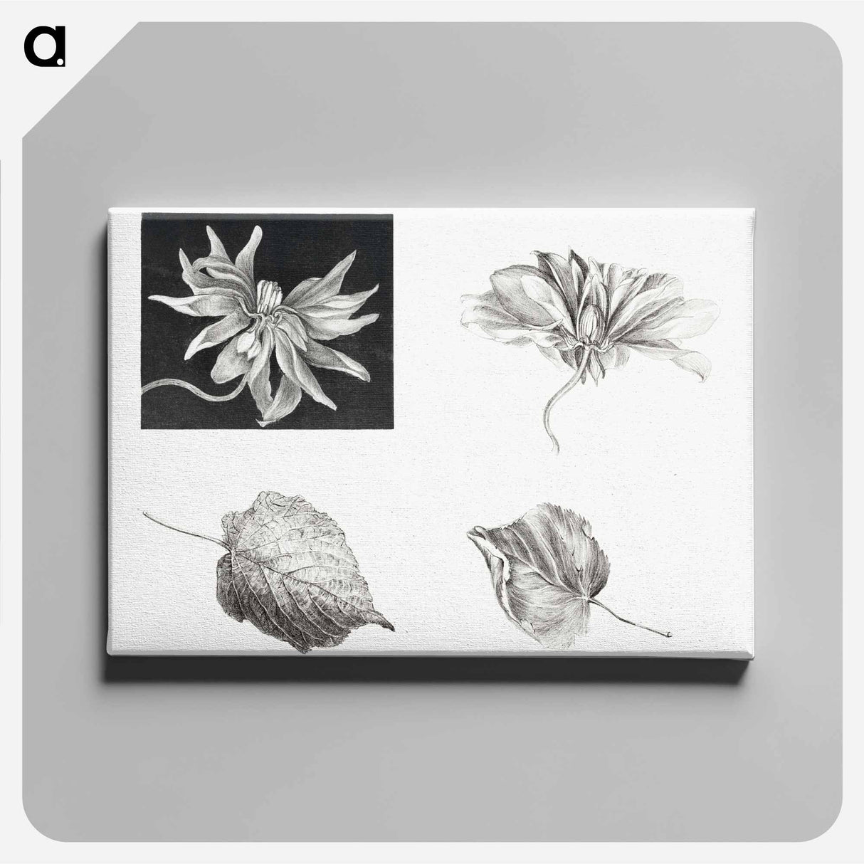 Flowers and Leaves - Theo Van Hoytema Canvas.