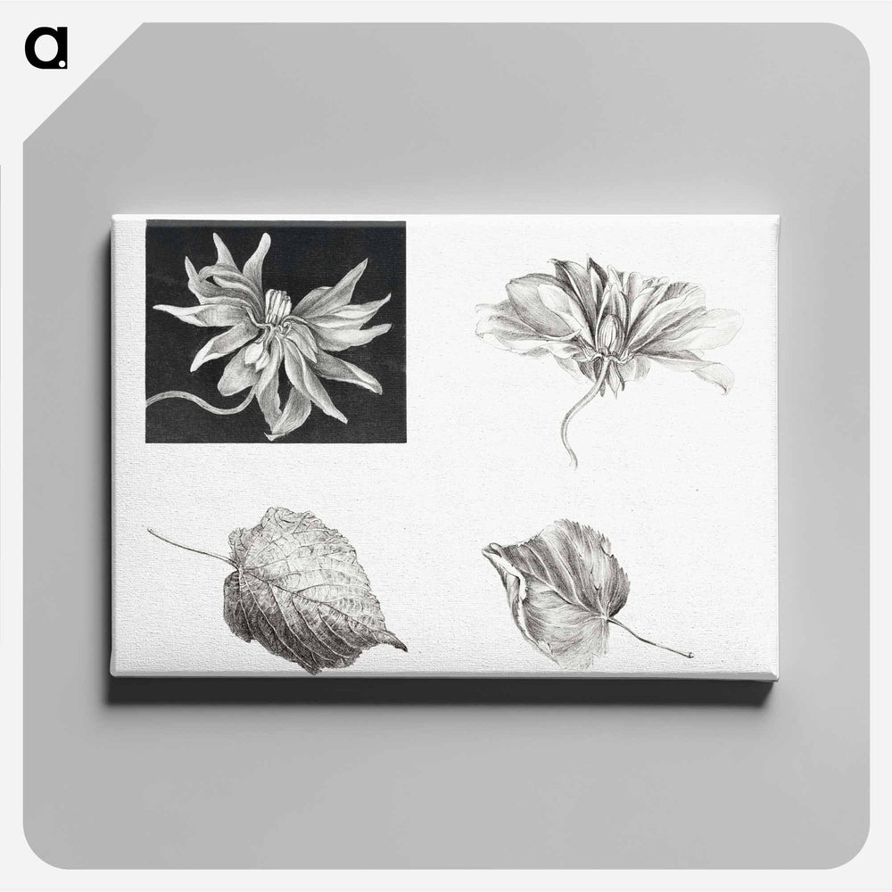 Flowers and Leaves - Theo Van Hoytema Canvas.