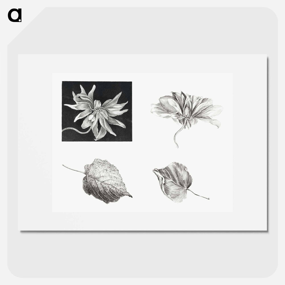 Flowers and Leaves - Theo Van Hoytema Poster.