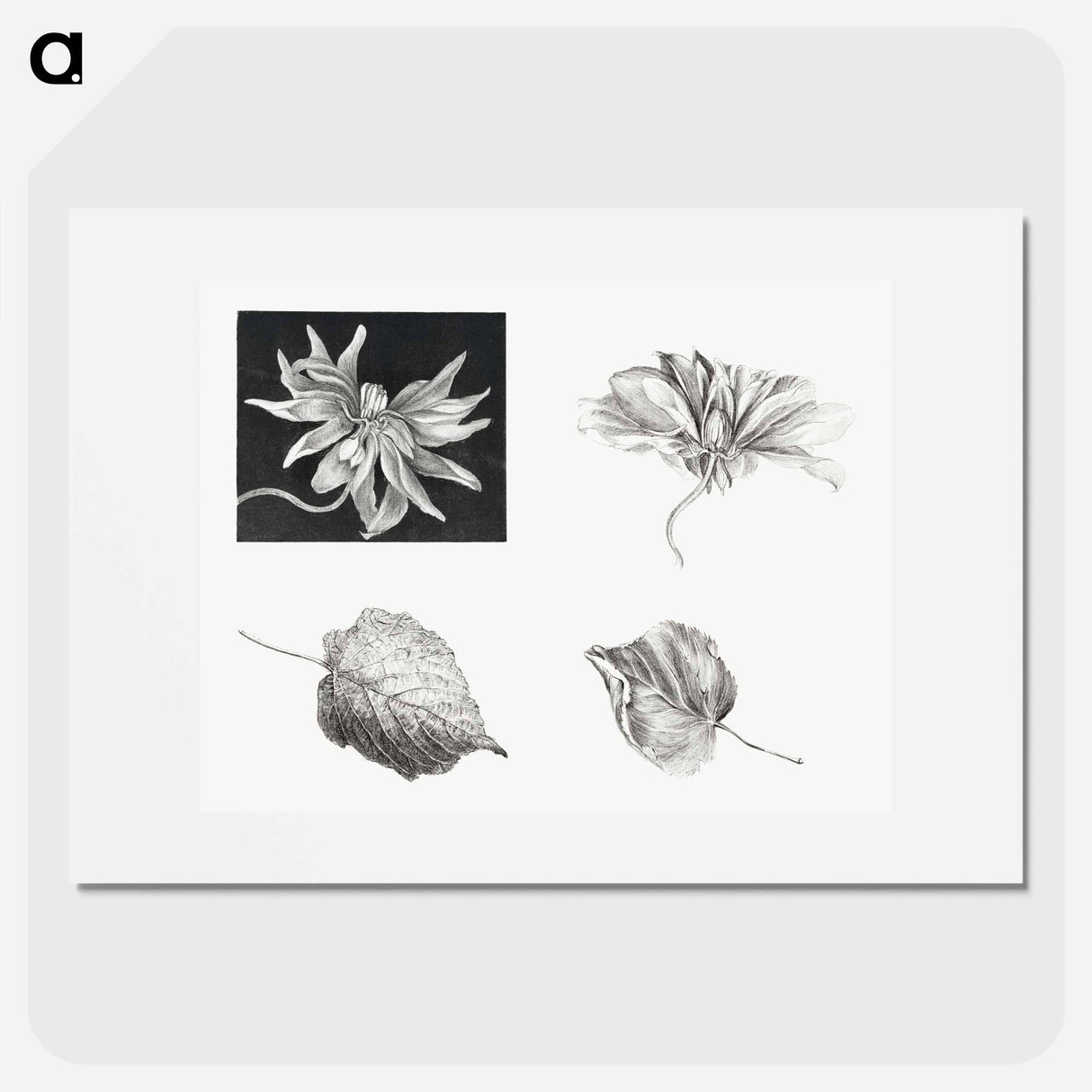 Flowers and Leaves - Theo Van Hoytema Poster.