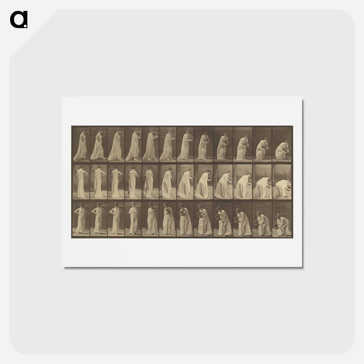 アートポストカード-Animal Locomotion
- エドワード マイブリッジ Postcard.