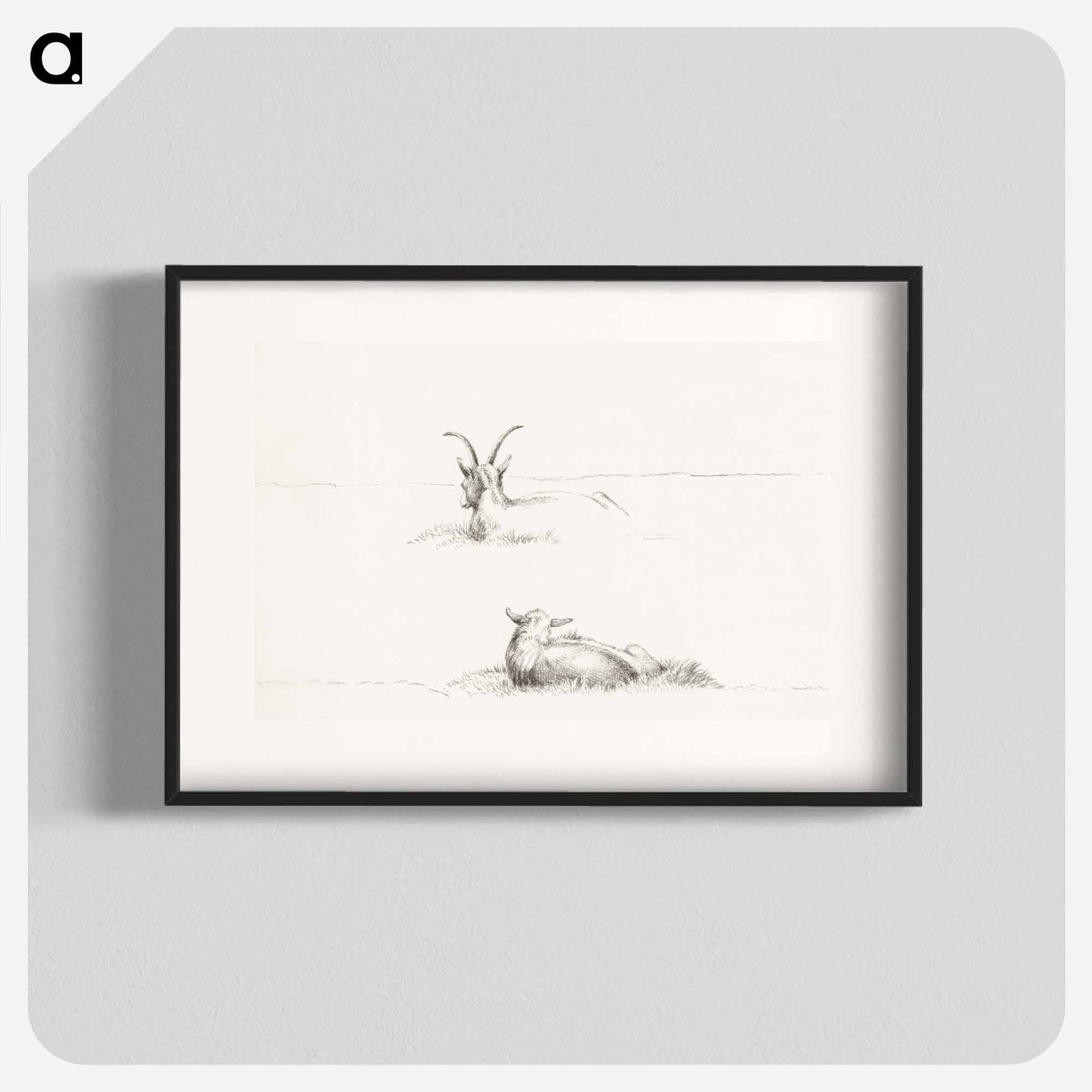 Sketches of a lying goat and a sheep - Jean Bernard Poster.