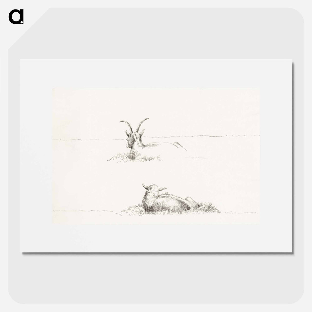 Sketches of a lying goat and a sheep - Jean Bernard Poster.