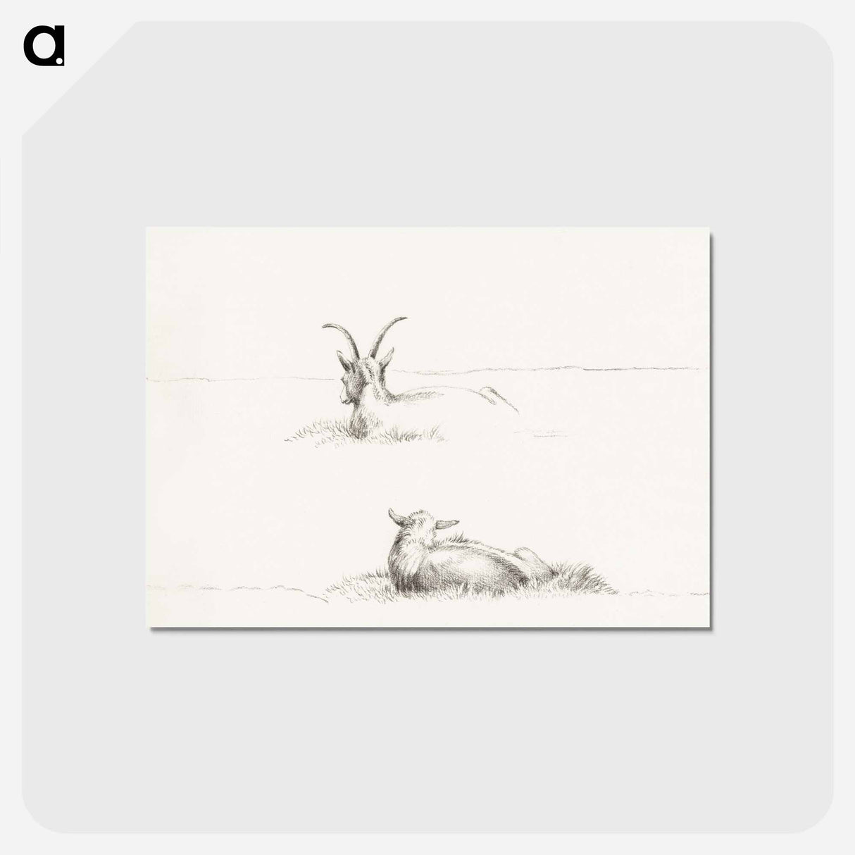 アートポストカード-Sketches of a lying goat and a sheep - ジャン ベルナール Postcard.