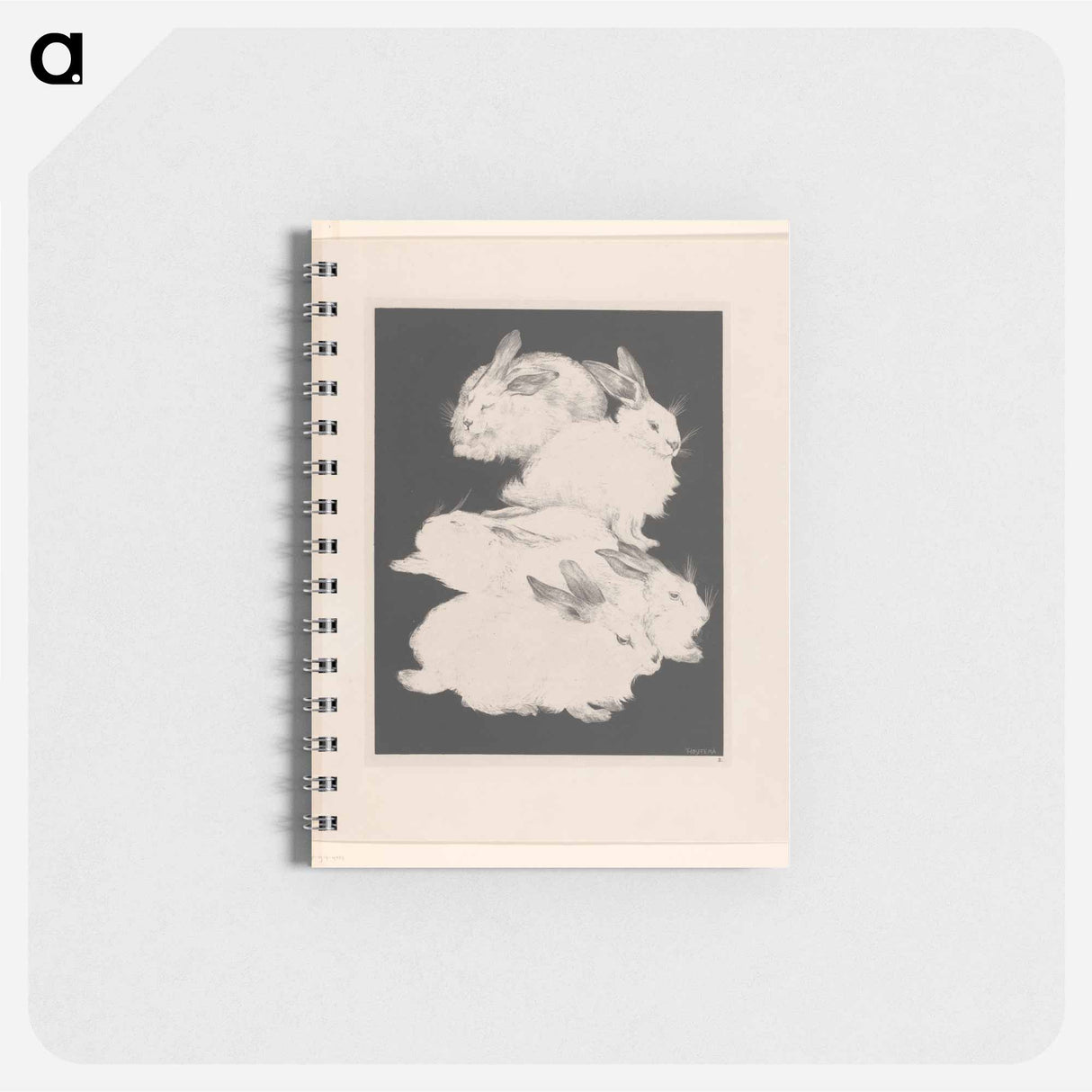 Twee angorakonijnen - テオ ヴァン ホイテマ Memo.