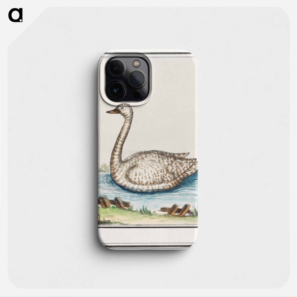 Swan, Cygnus - アンセルムス ボエティウス デ ブート Phone Case.