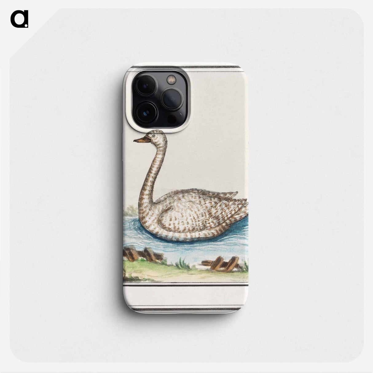 Swan, Cygnus - アンセルムス ボエティウス デ ブート Phone Case.