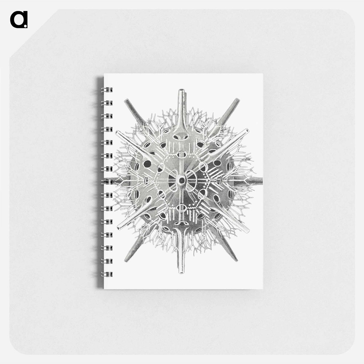 アートメモ帳-Vintage marine life illustration on white background - エルンスト ヘッケル Memo.