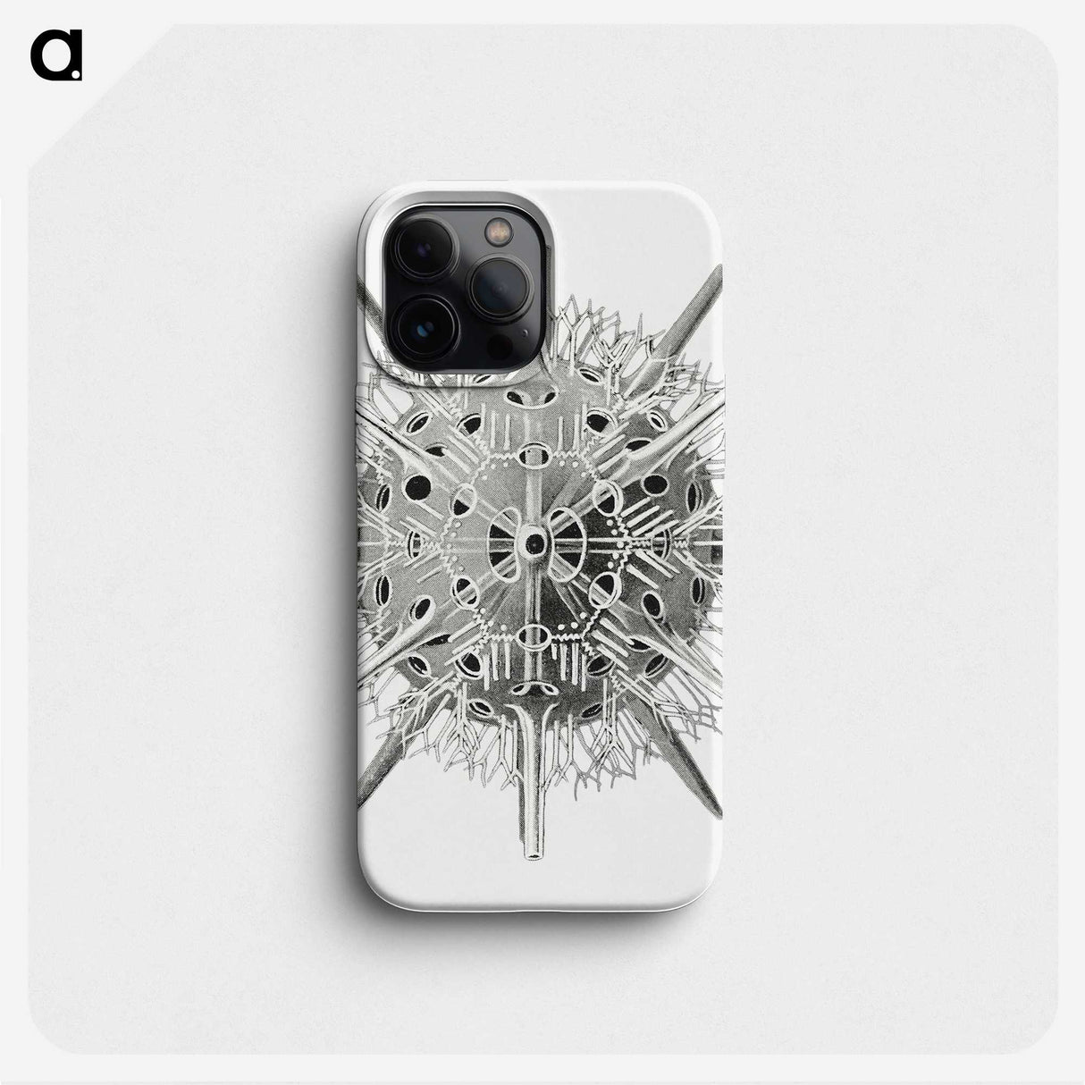 3-6_Ernst-Haeckel_phone