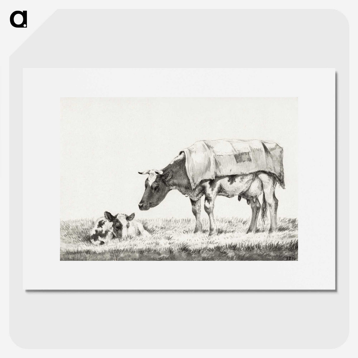 3-6_Jean-Bernard_picture