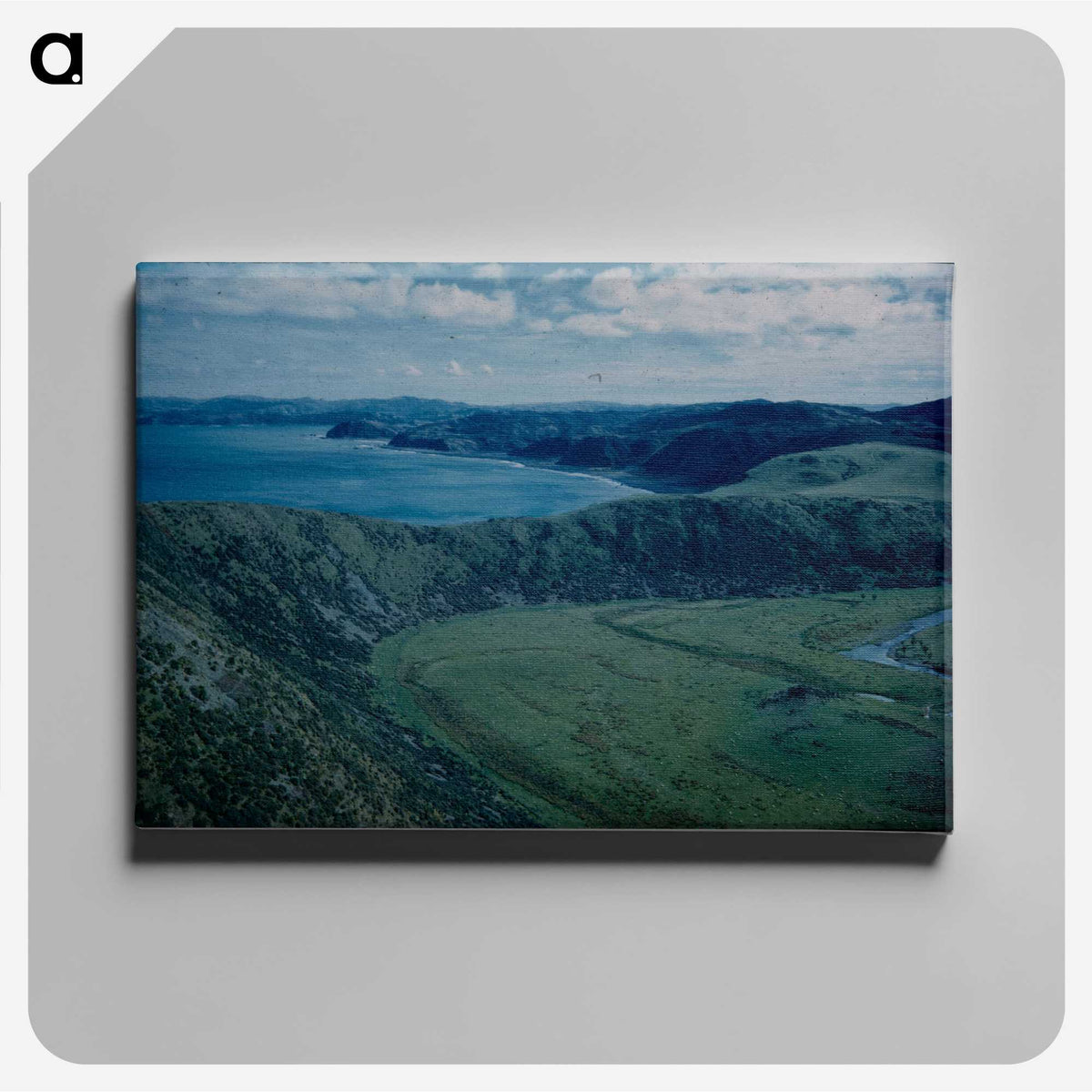 3-6_Leslie-Adkin_canvas