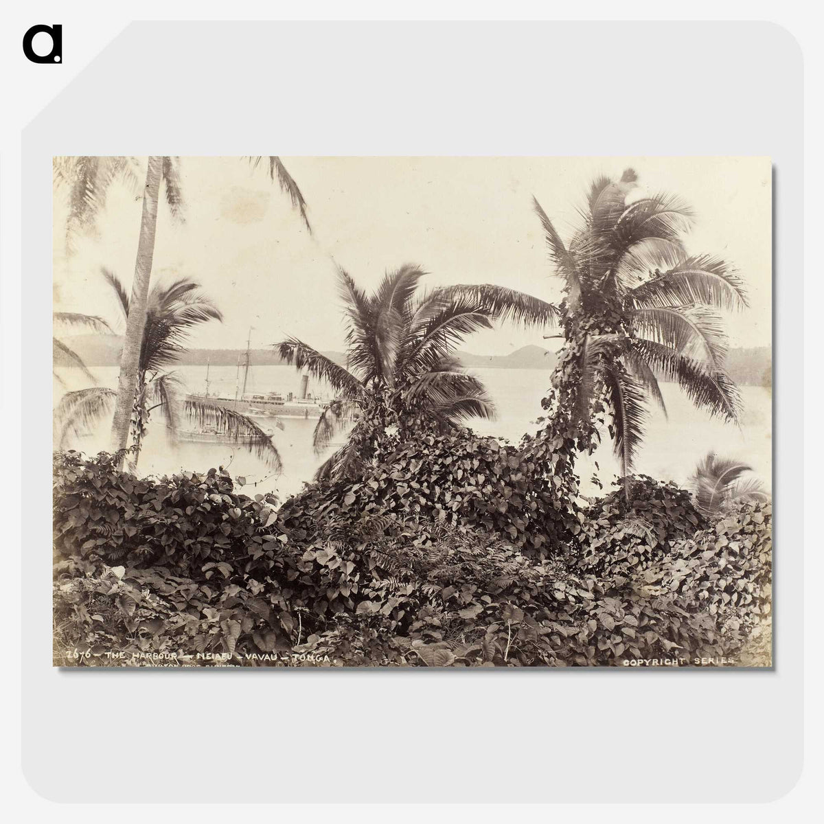 3-6_The-Burton-Brothers_picture-crop