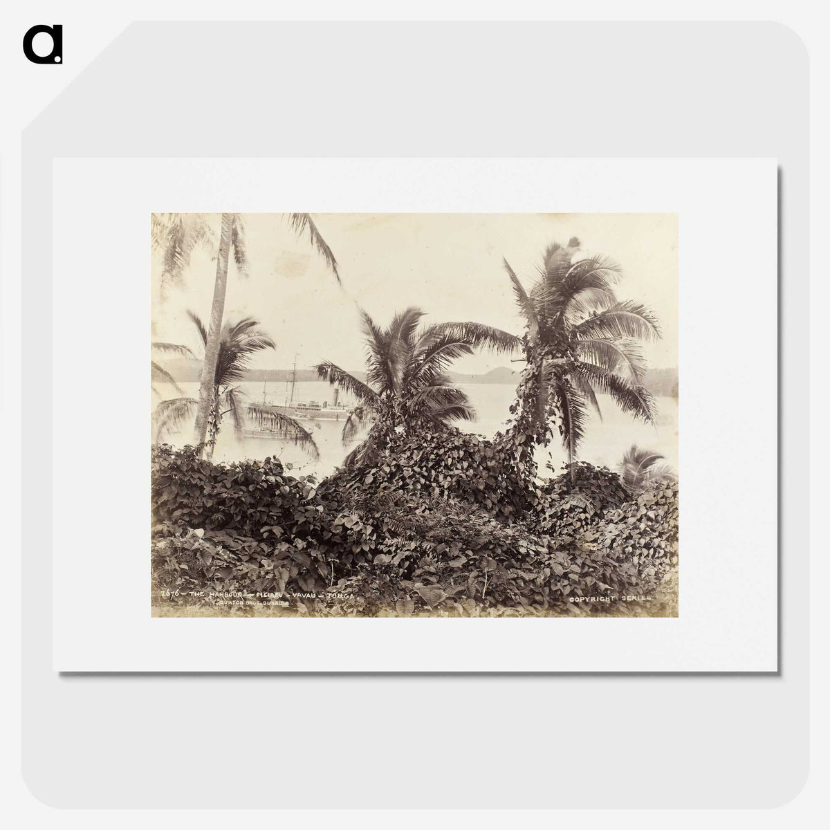 3-6_The-Burton-Brothers_picture