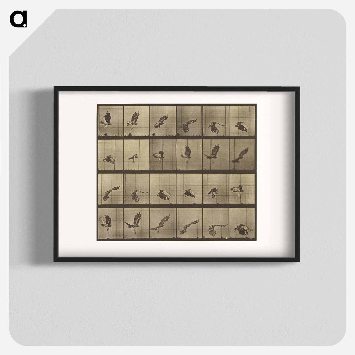 アートポスター-Animal Locomotion
- エドワード マイブリッジ Poster.