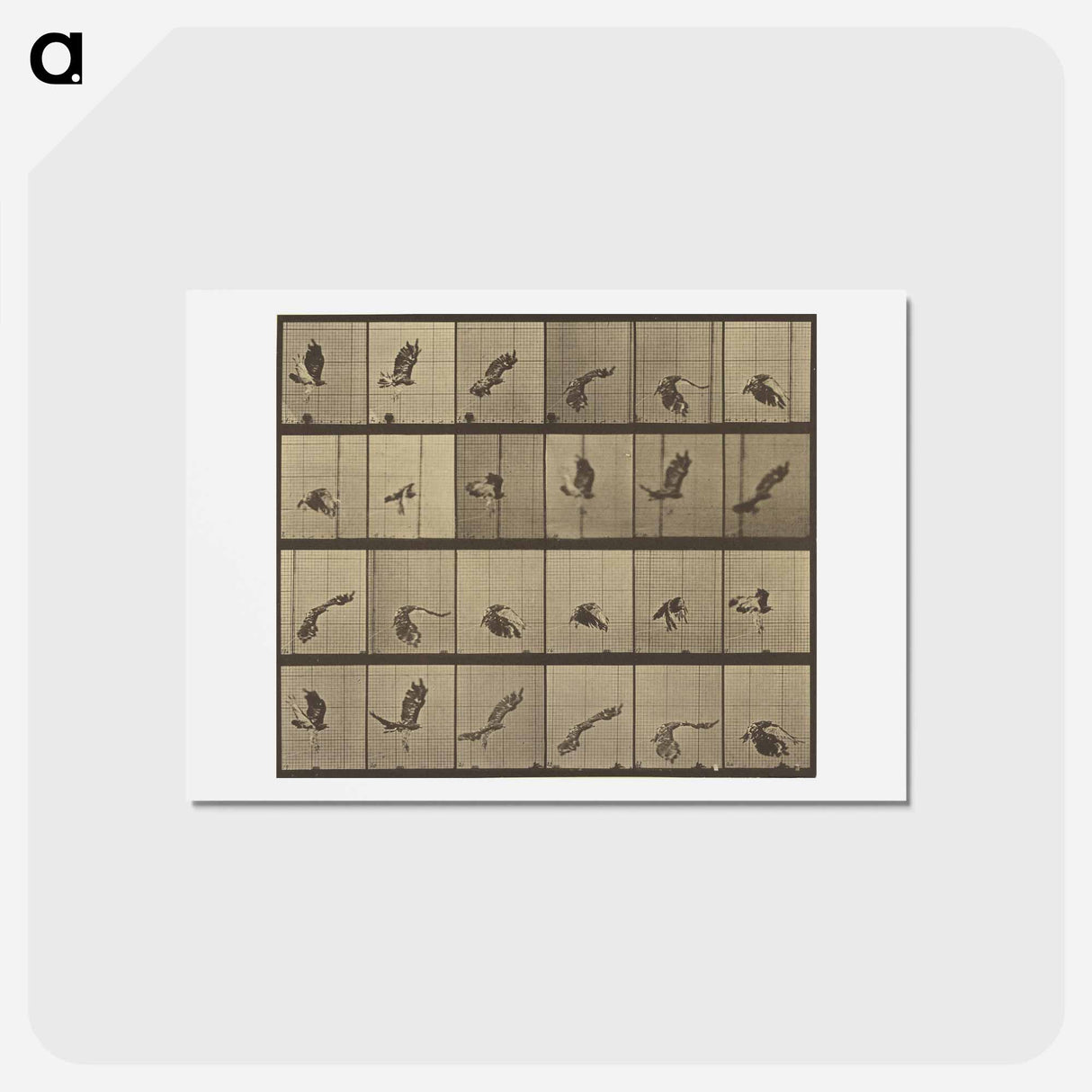 アートポストカード-Animal Locomotion
- エドワード マイブリッジ Postcard.