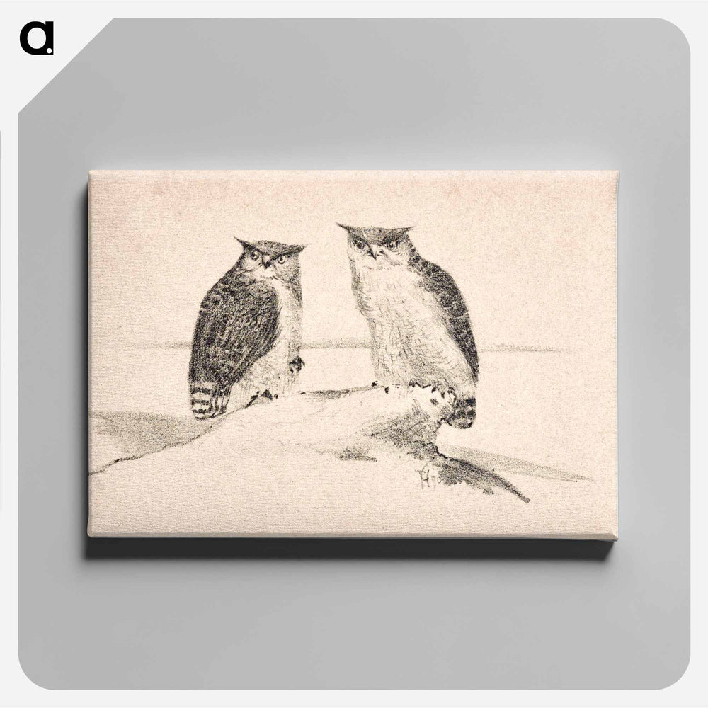 Wenskaart met twee uilen - Theo van Hoytema Canvas.