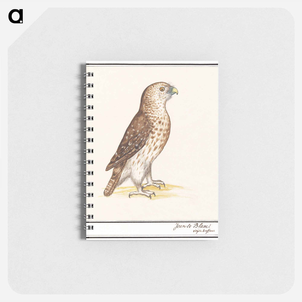 Short-toed Eagle - アンセルムス ボエティウス デ ブート Memo.