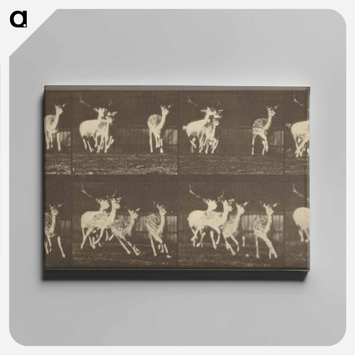アートパネル-Animal Locomotion
- エドワード マイブリッジ Canvas.