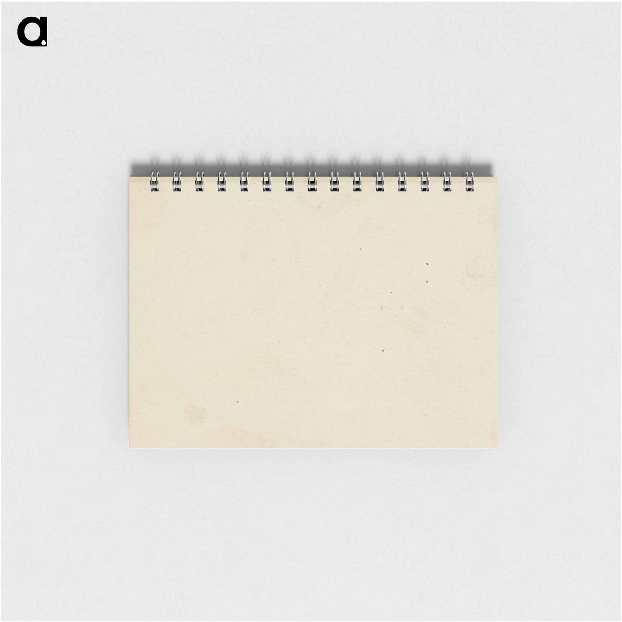 Vrouwenkop - ユリー デ フラーハ Memo.