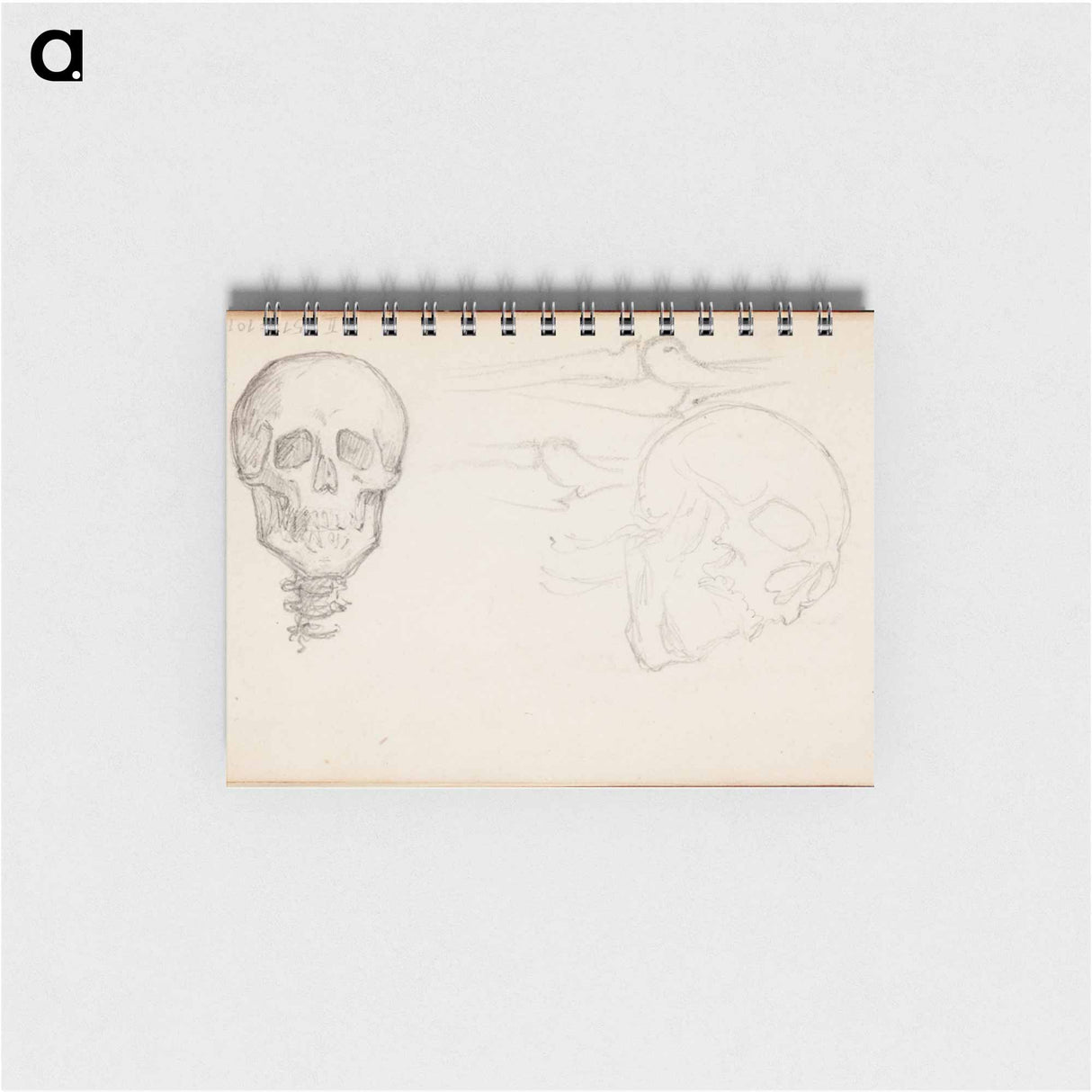 (unknown) part of a sketchbook - アルバート エーデルフェルト Memo.