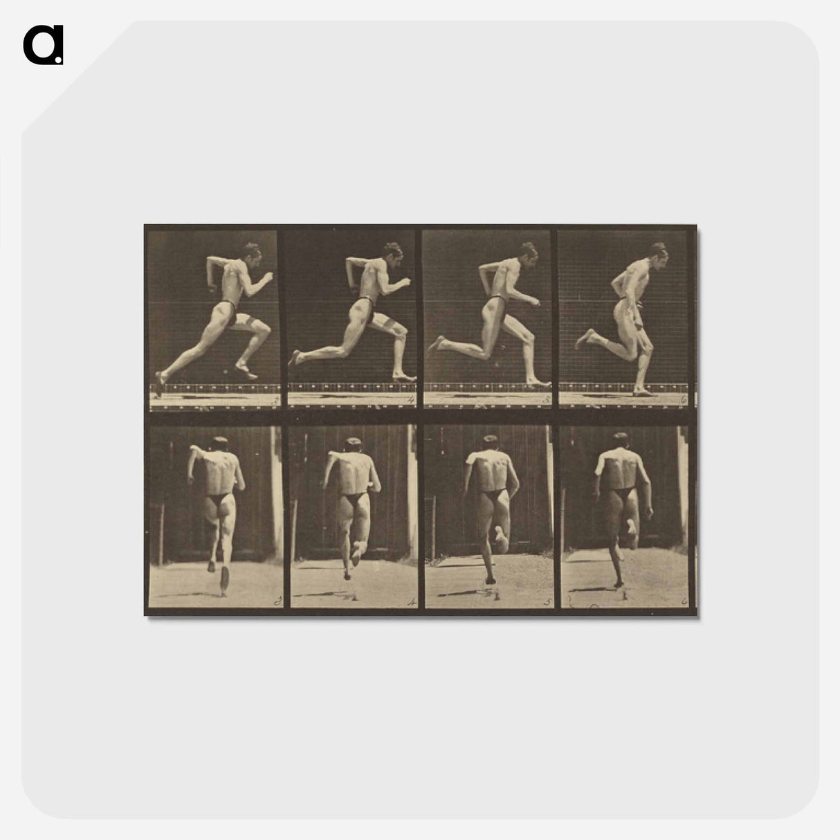 アートポストカード-Animal Locomotion
- エドワード マイブリッジ Postcard.