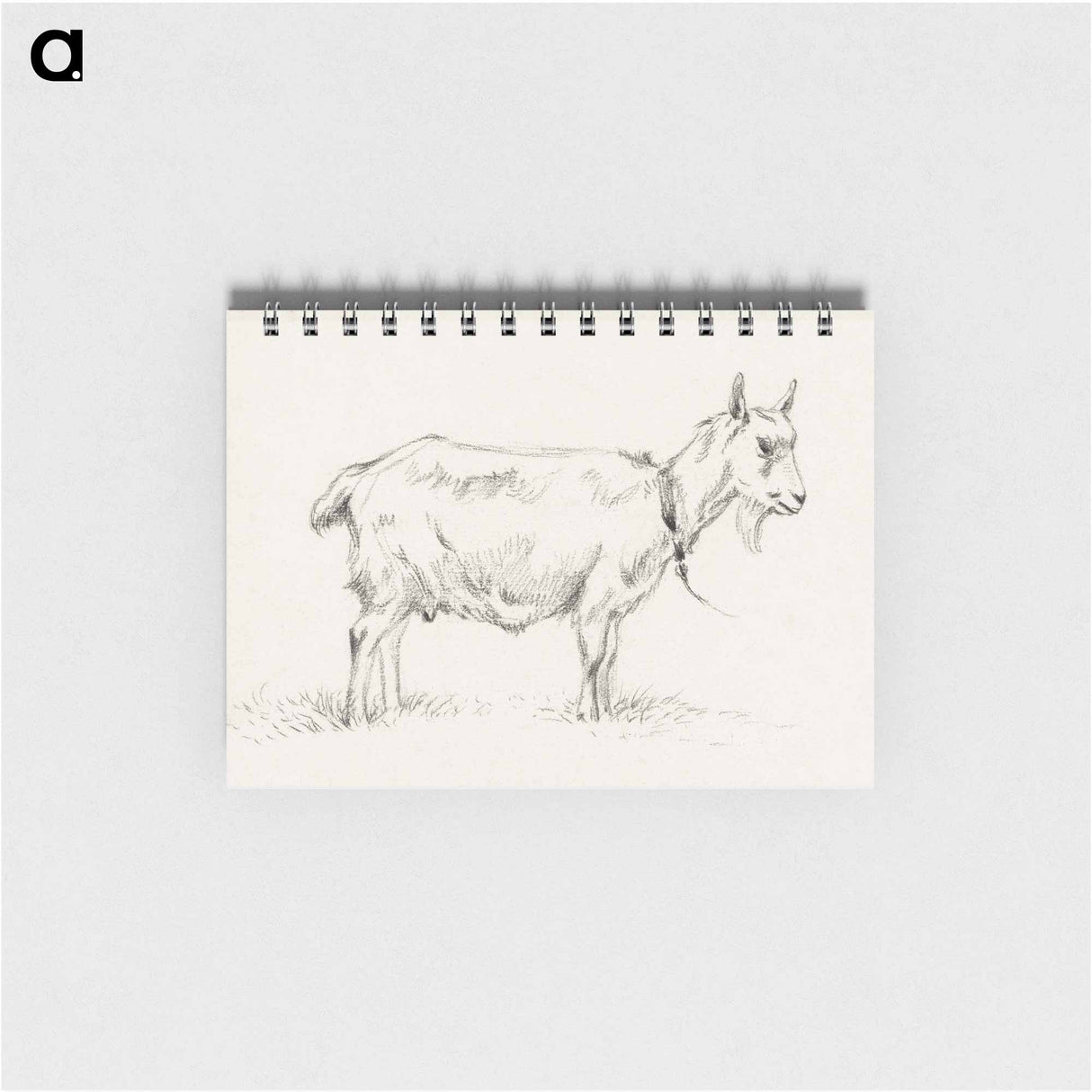 Standing goat - ジャン ベルナール Memo.