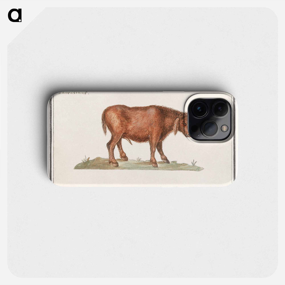 Brazilian cow - アンセルムス ボエティウス デ ブート Phone Case.
