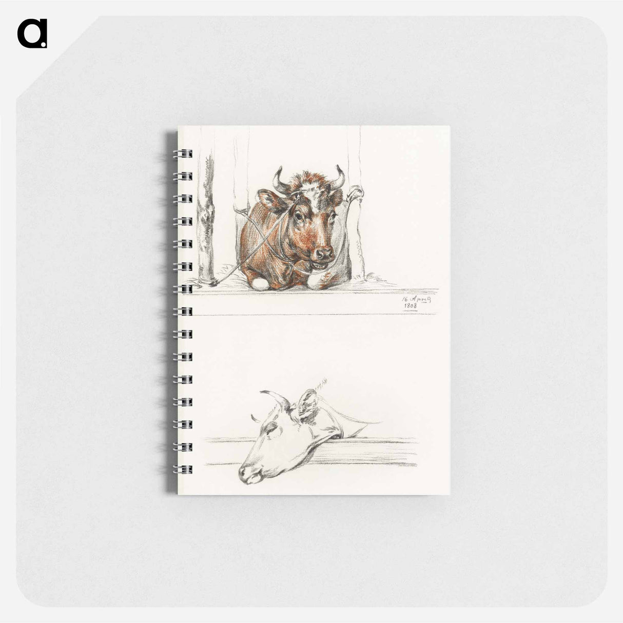 Cow in the stable and the head of a cow - ジャン ベルナール Memo.