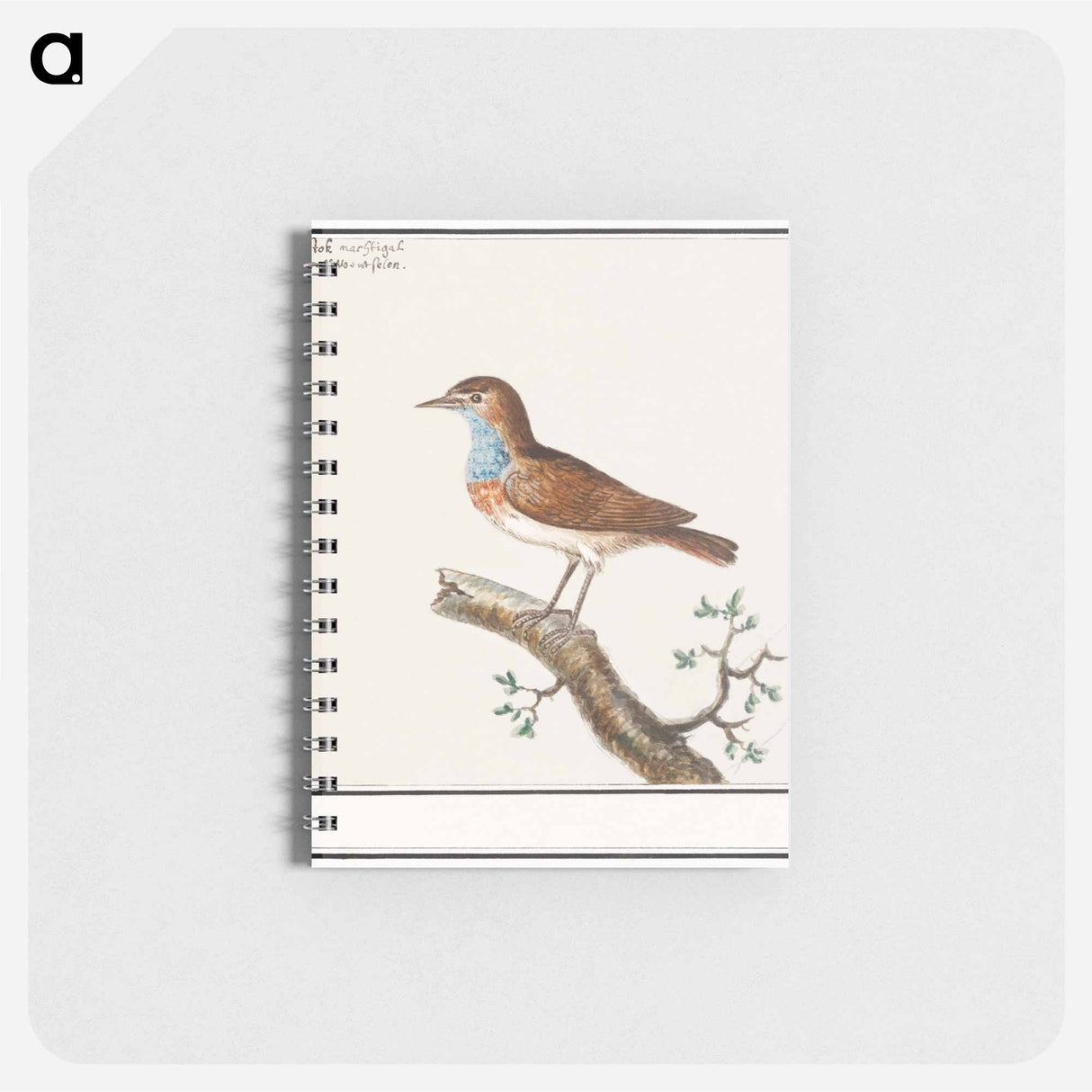 アートメモ帳-Bluethroat - アンセルムス ボエティウス デ ブート Memo.