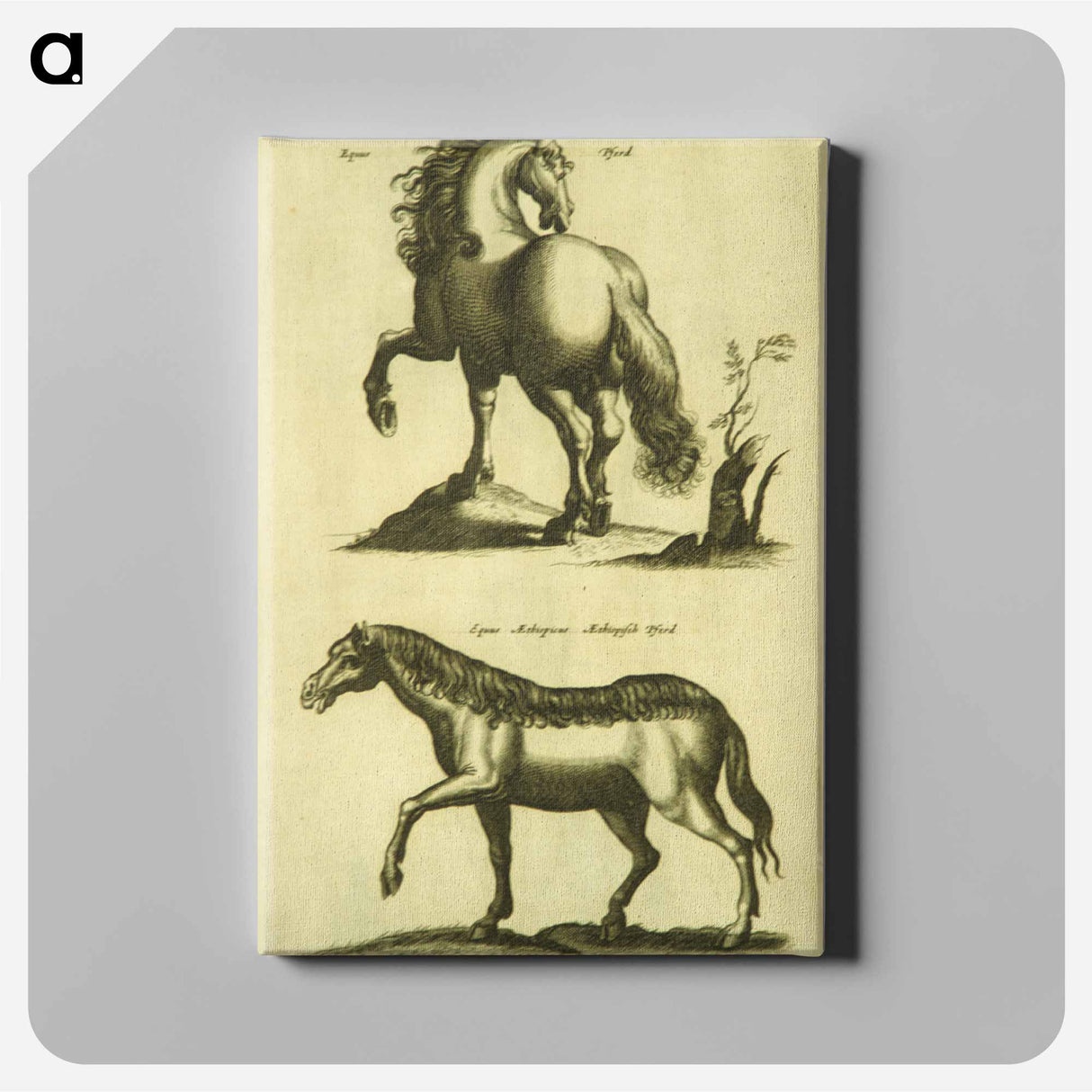 アートパネル-Herd Horses
- 国立医学図書館 Canvas.