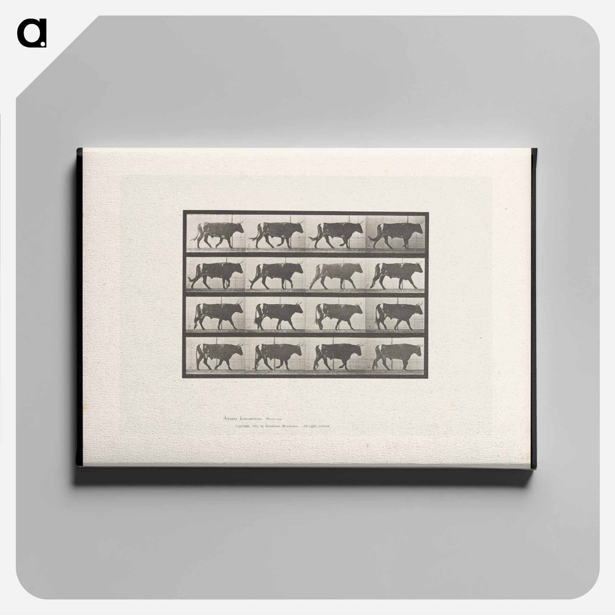 アートパネル-Bull Walking
- エドワード マイブリッジ Canvas.