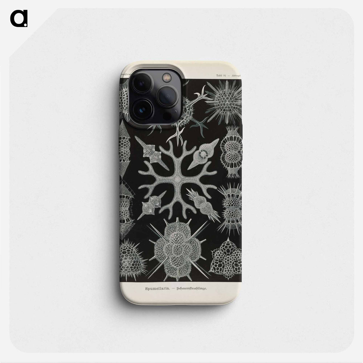 Marine life illustration - エルンスト ヘッケル Phone Case.