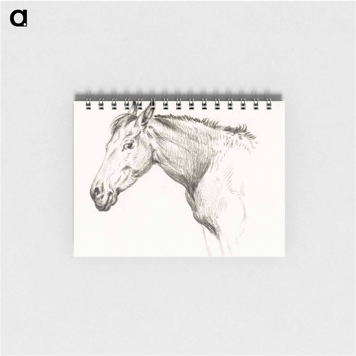 Head of a horse - ジャン ベルナール Memo.