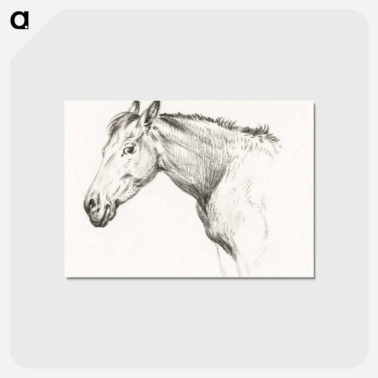 アートポストカード-Head of a horse - ジャン ベルナール Postcard.