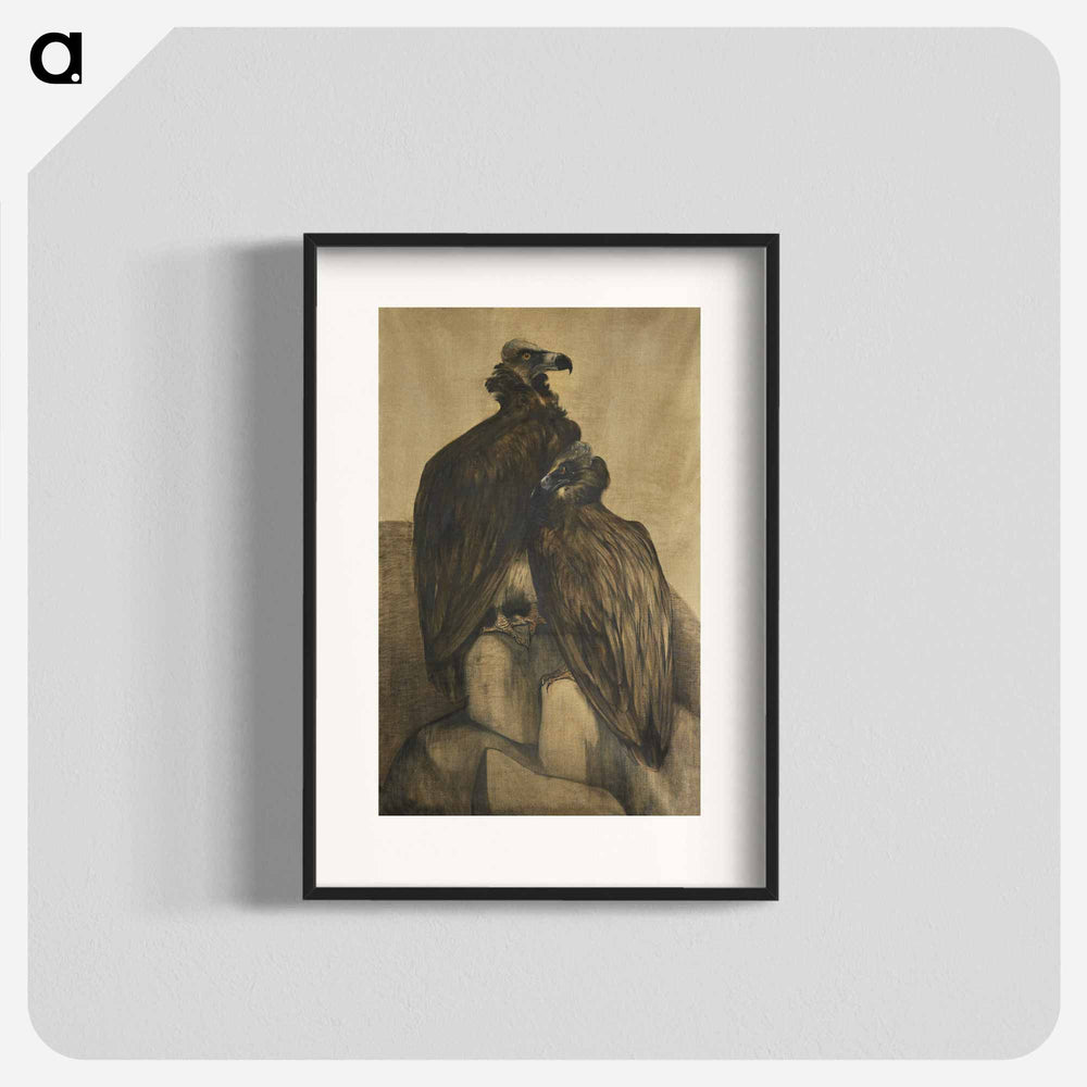 Two Arabian Vultures - Theo Van Hoytema Poster.