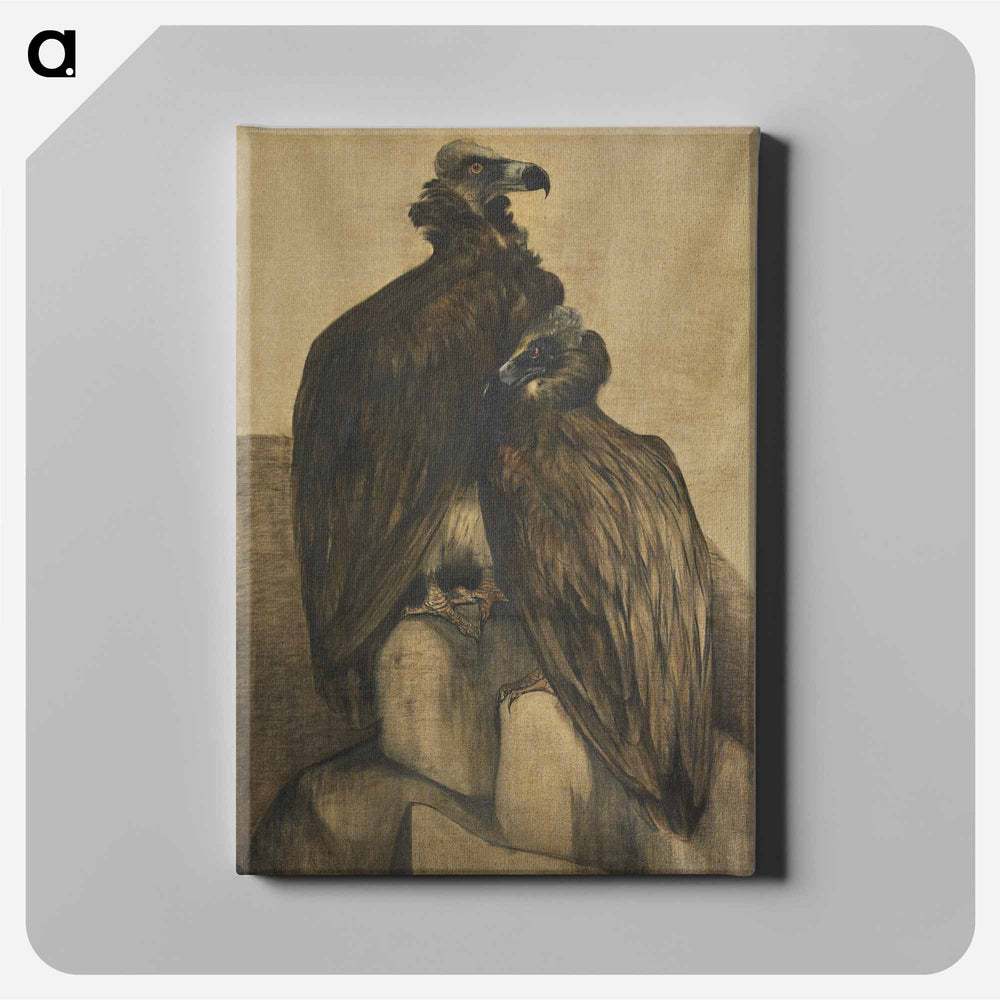 Two Arabian Vultures - Theo Van Hoytema Canvas.