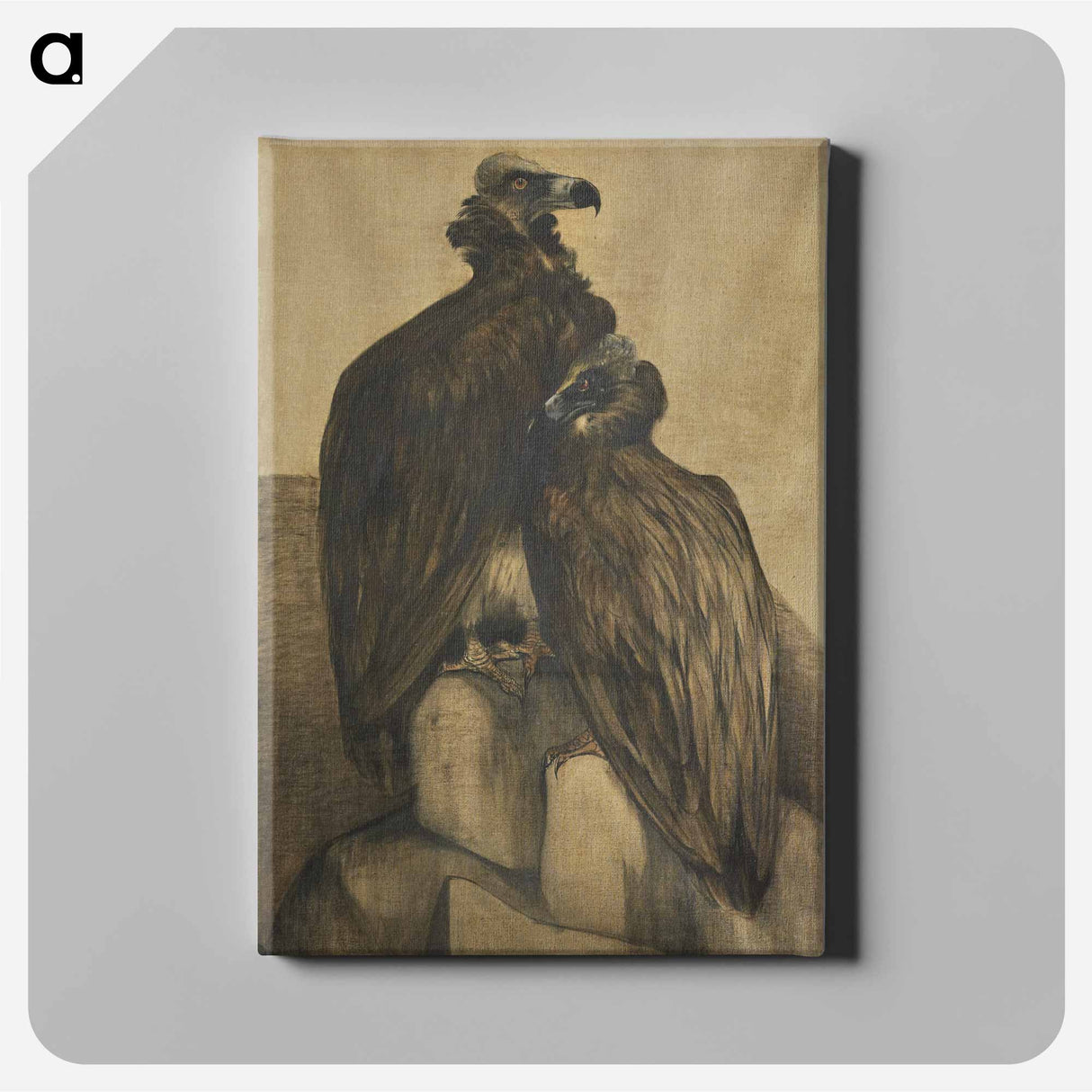 Two Arabian Vultures - Theo Van Hoytema Canvas.
