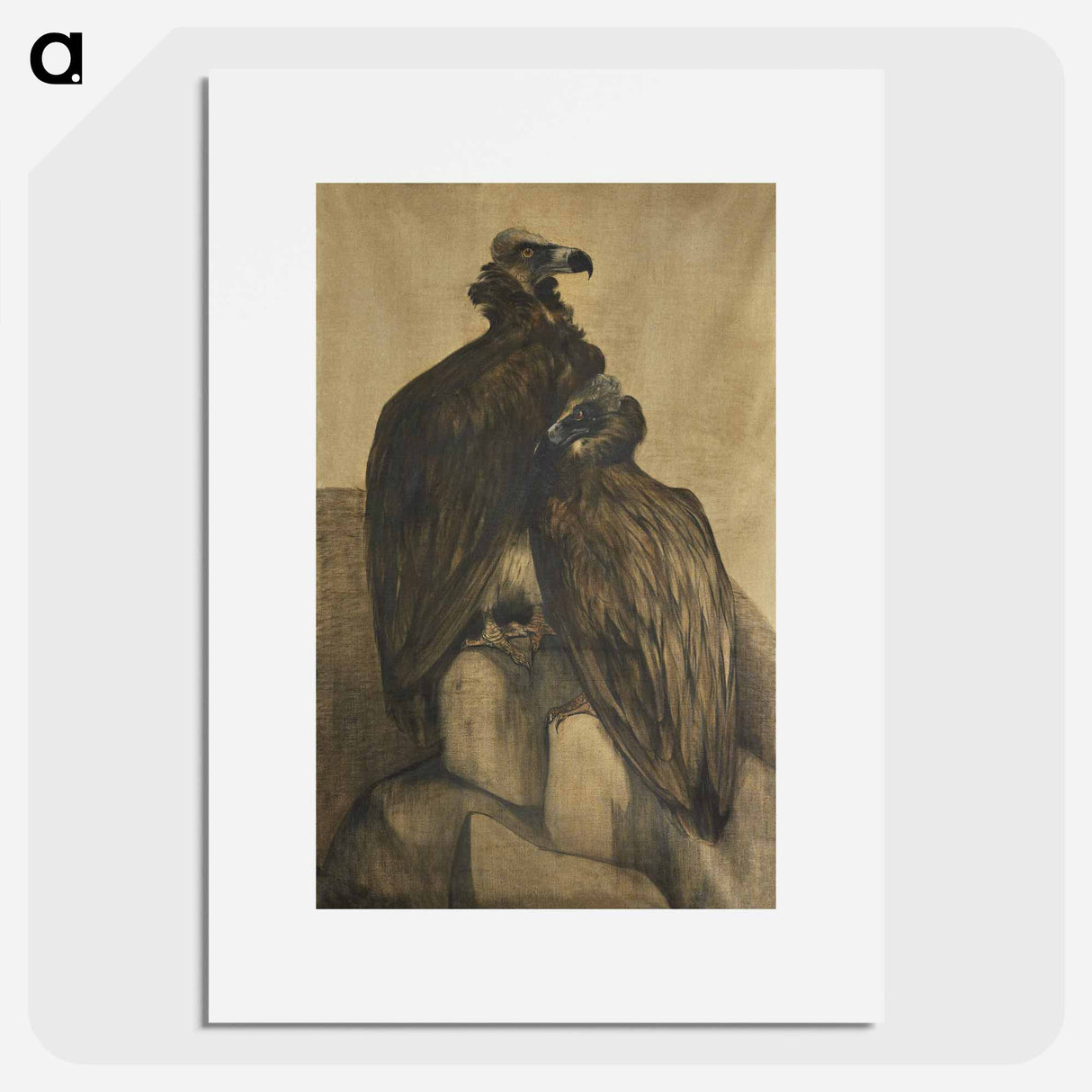 Two Arabian Vultures - Theo Van Hoytema Poster.