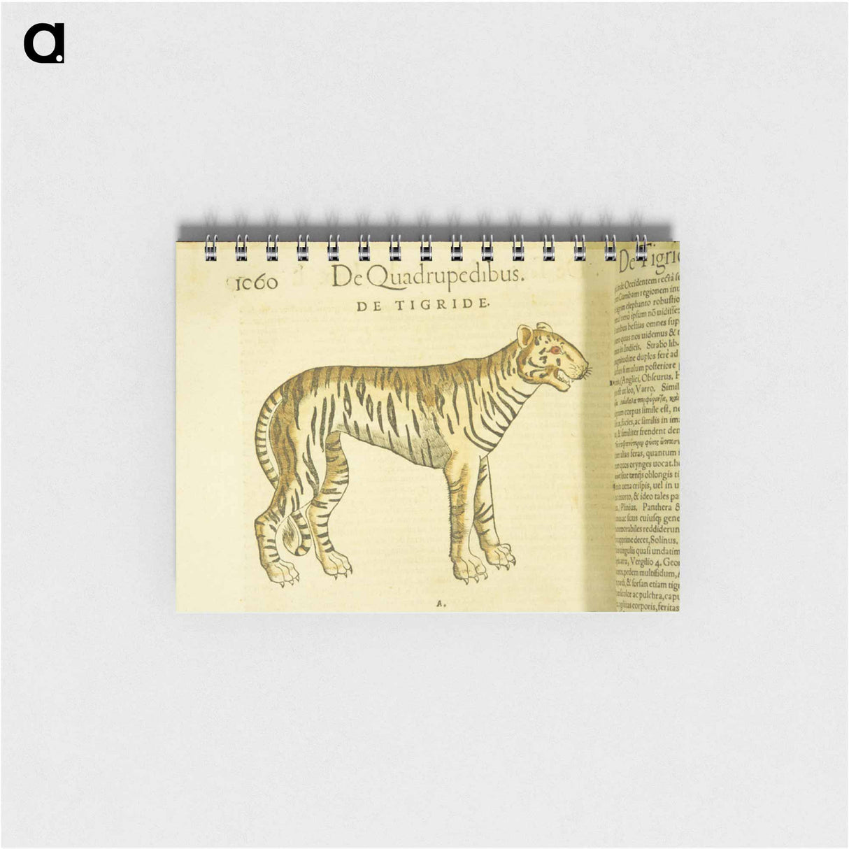 アートメモ帳-Tiger in Profile
- 国立医学図書館 Memo.