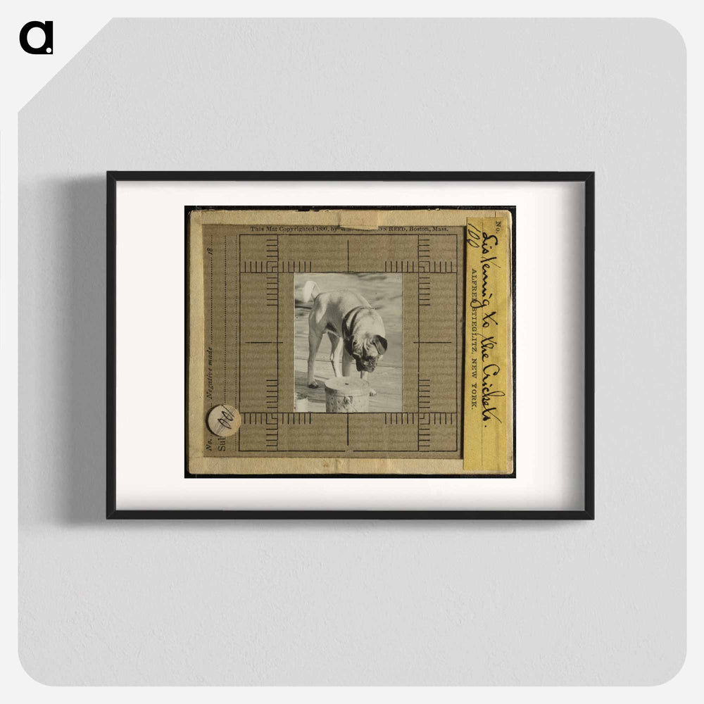 Listening to the Crickets - アルフレッド スティーグリッツ Poster.