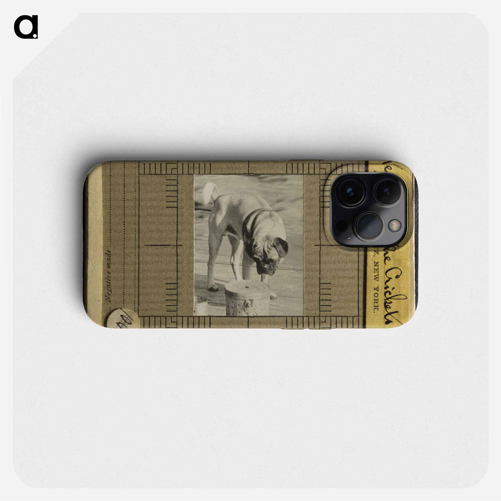 Listening to the Crickets - アルフレッド スティーグリッツ Phone Case.