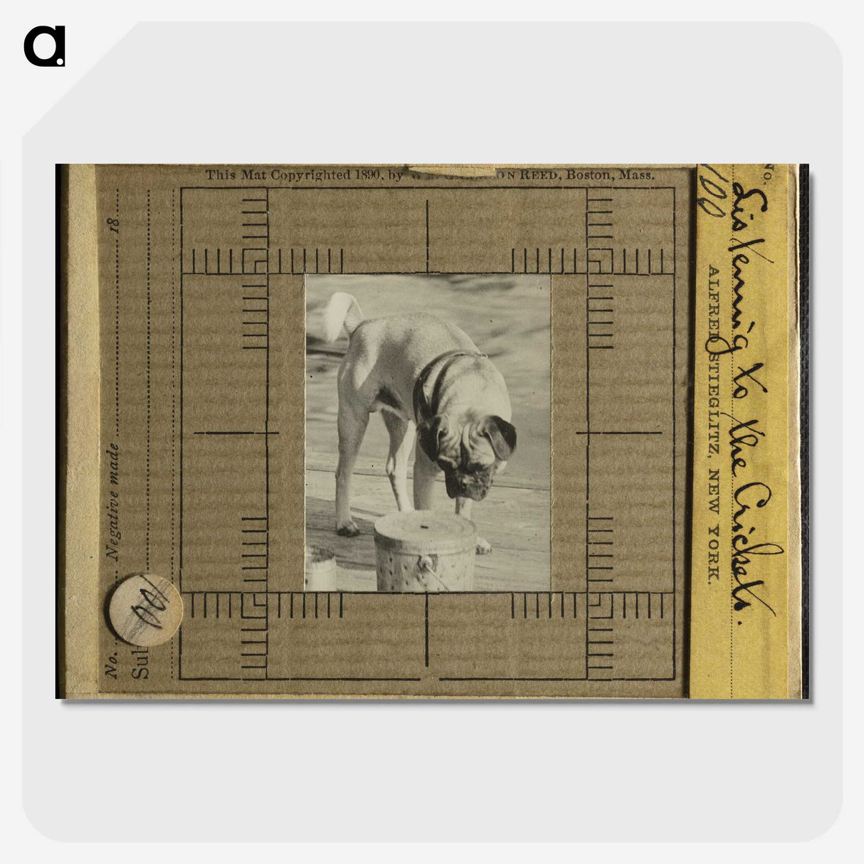 3-7_Alfred-Stieglitz_picture-crop