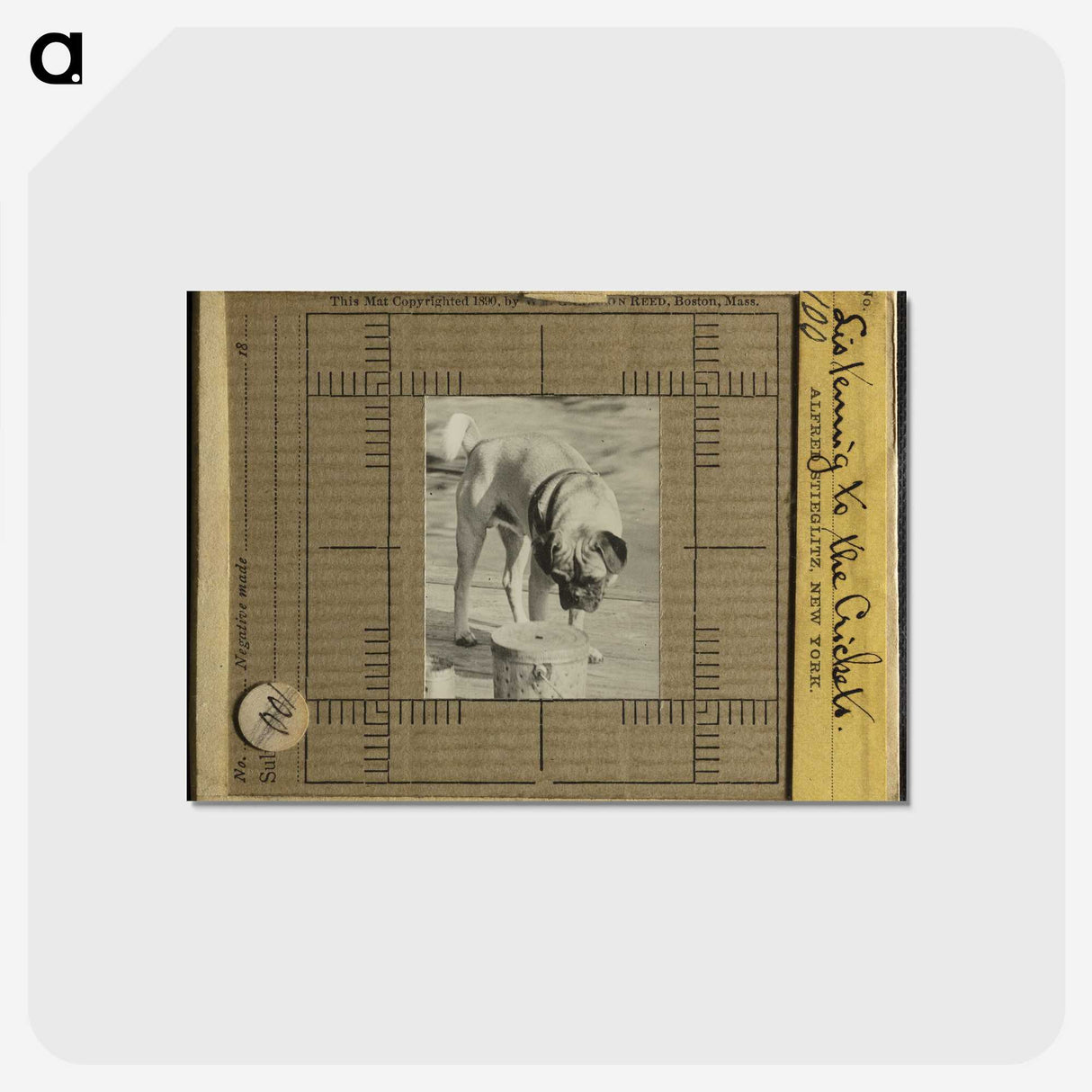 3-7_Alfred-Stieglitz_postcard