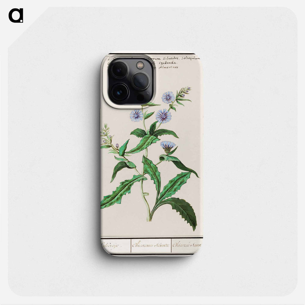 Wild chicory - アンセルムス ボエティウス デ ブート Phone Case.