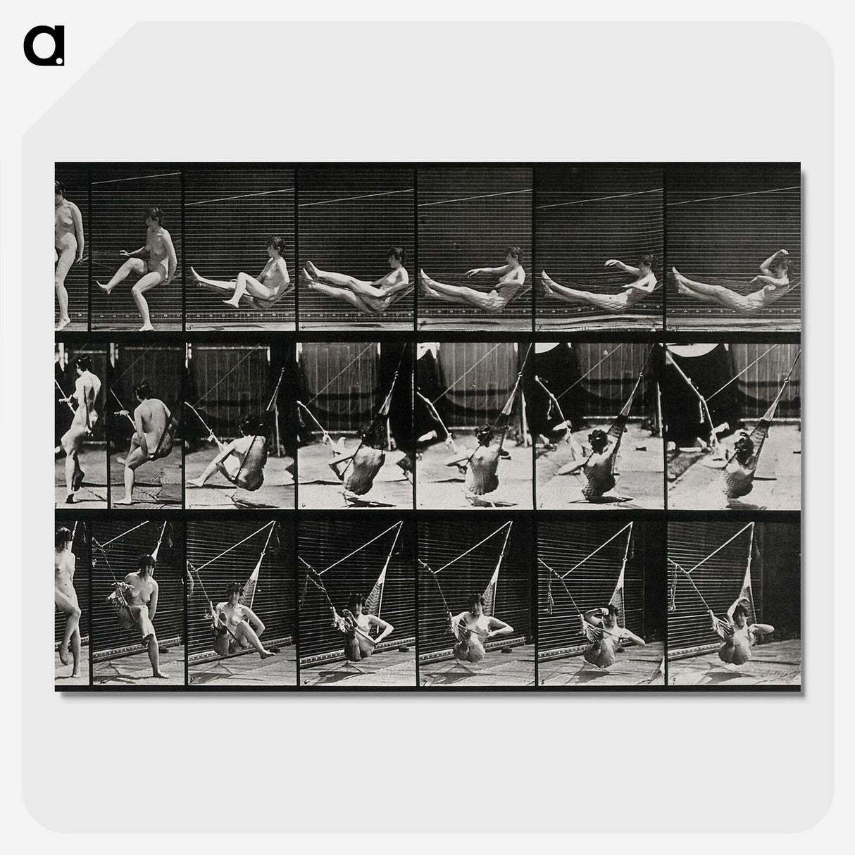 3-7_Eadweard-Muybridge_picture-crop