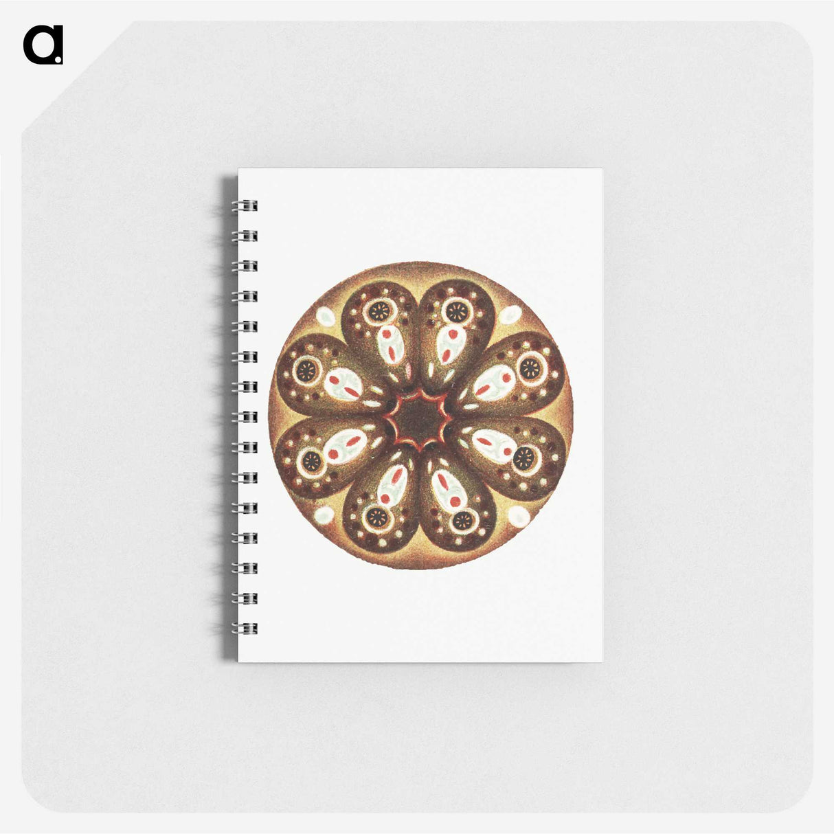 3-7_Ernst-Haeckel_memo